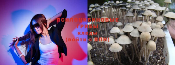 PSILOCYBIN Вязьма