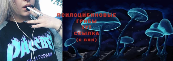 PSILOCYBIN Вязьма