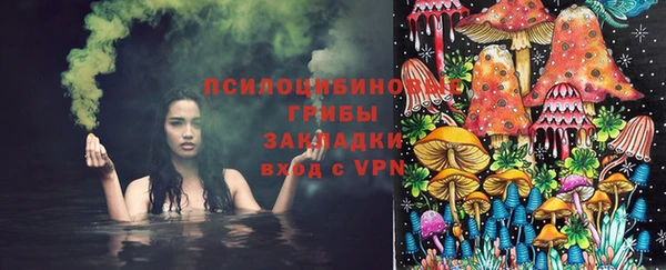 PSILOCYBIN Вязьма