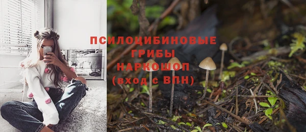 PSILOCYBIN Вязьма