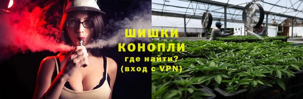 ГАЛЛЮЦИНОГЕННЫЕ ГРИБЫ Володарск