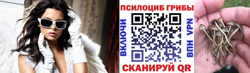 Галлюциногенные грибы ЛСД  сколько стоит  мориарти какой сайт  Задонск 